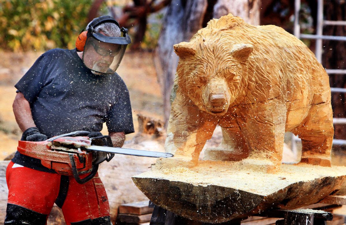 Chainsaw Carving