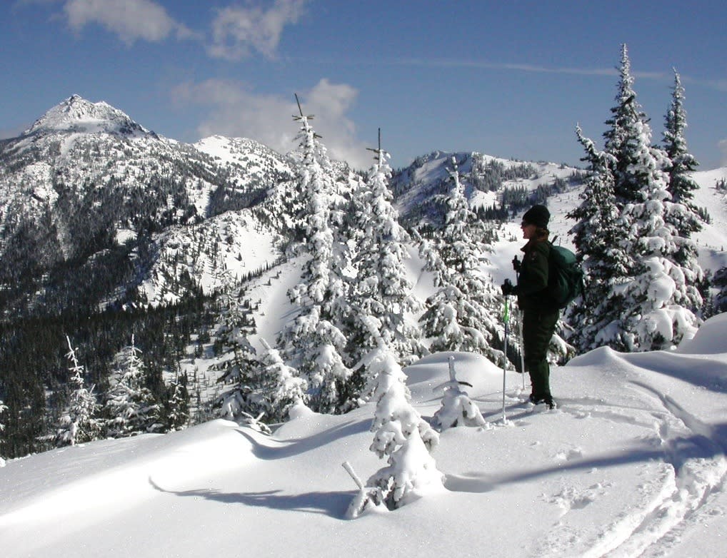 Hurricane Ridge