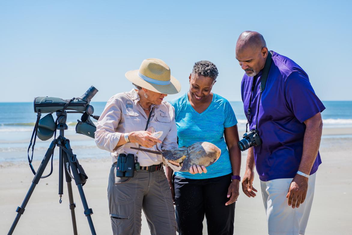 A naturalist teaches guests about wildlife found on the beaches on Little St. Simons Island, Georgia