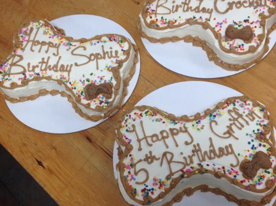 canine bakery near me