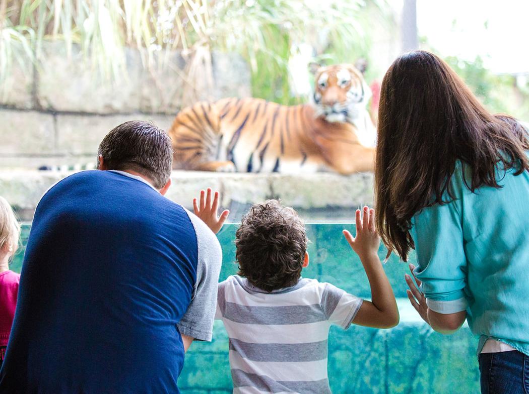 Zoo Knoxville