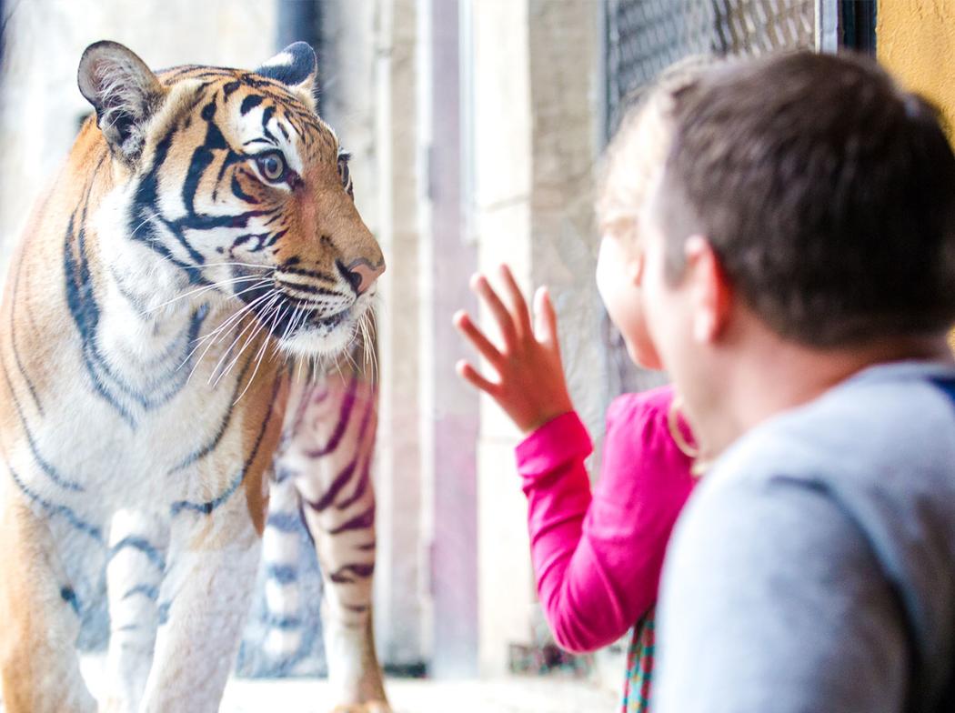 Zoo Knoxville