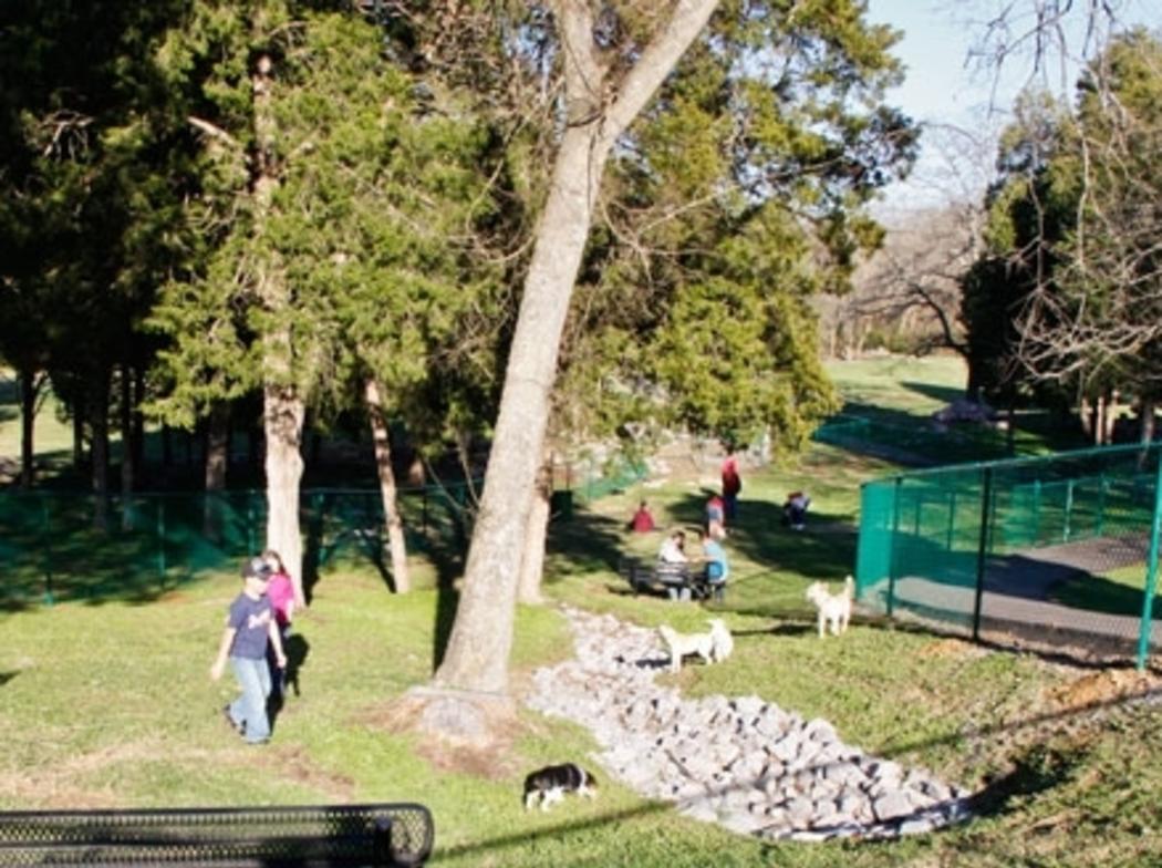 Petsafe Charter Doyle Dog Park