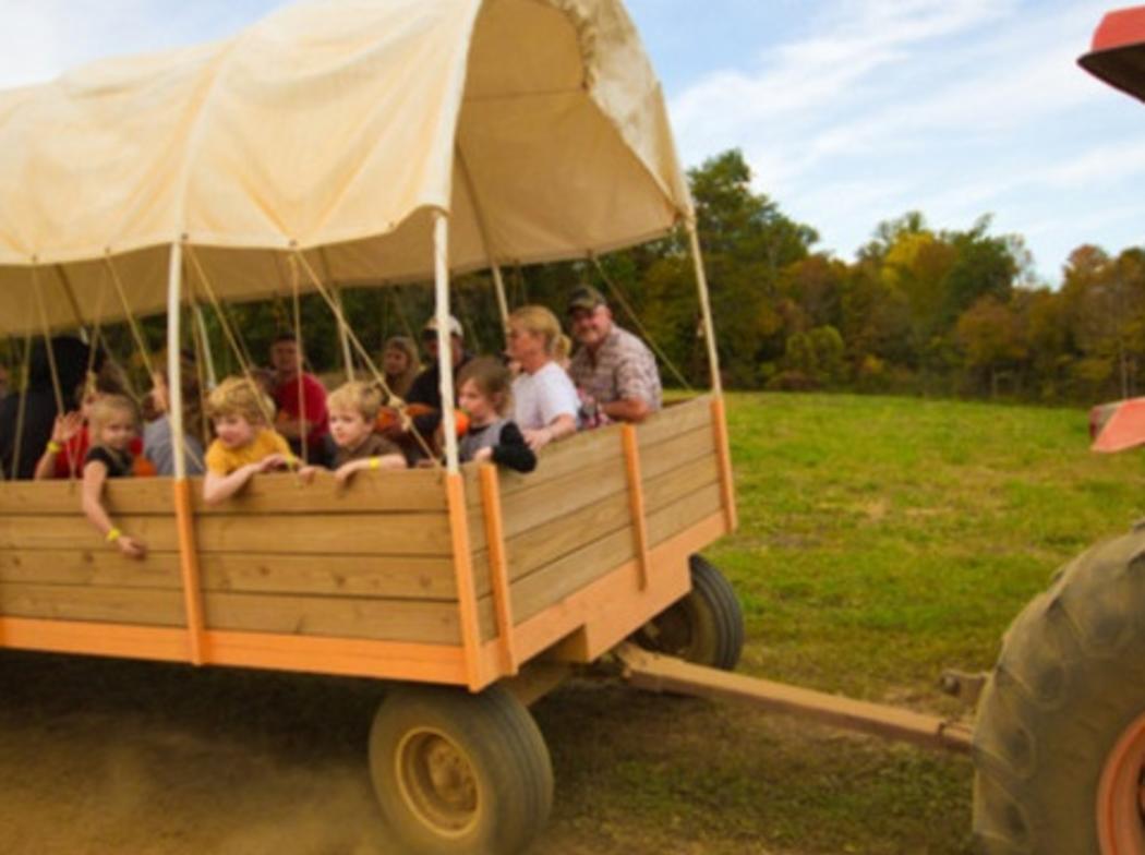Oakes Farm Corn Maze And Pumpkin Patch