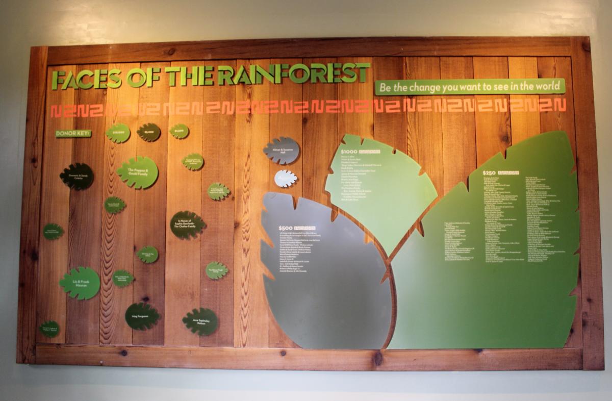 RWPZOO Rainforest Opening