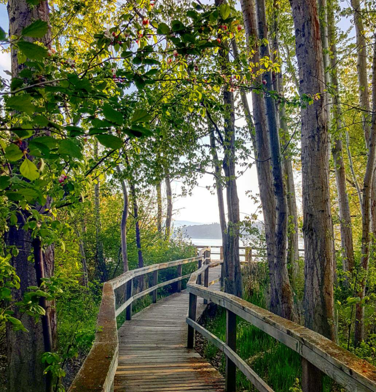 Kinsmen Park Boardwalk
