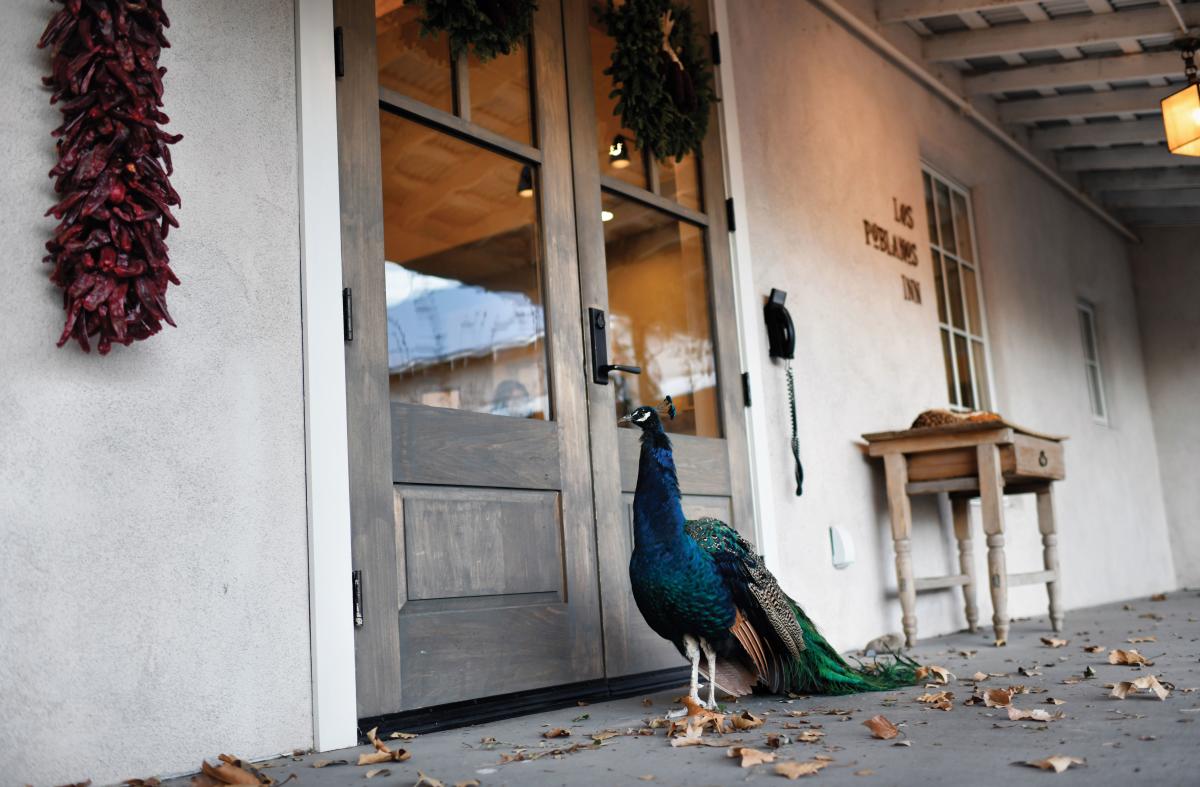 Exterior Views of Los Poblanos Historic Inn