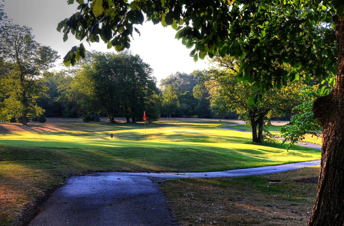 fort wayne golf foster park