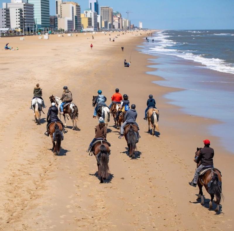 Virginia Beach Horseback