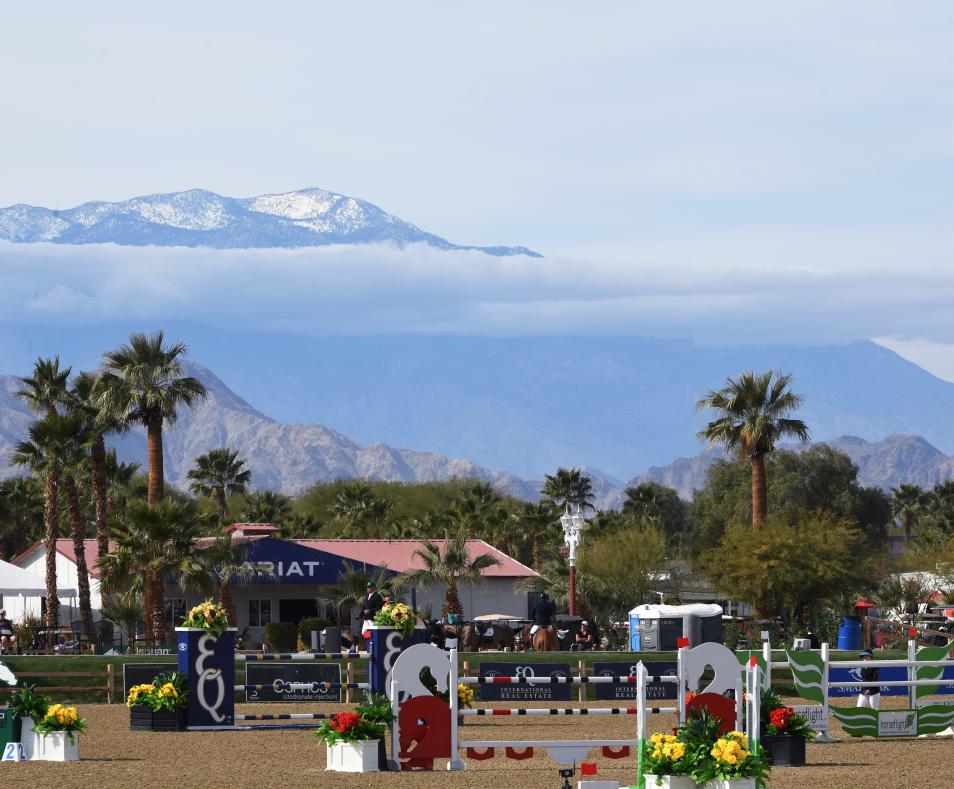 Desert International Horse Park
