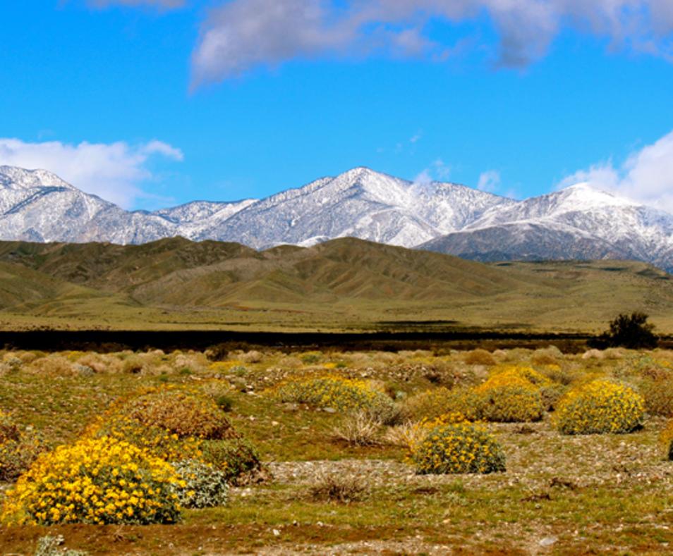 City of Desert Hot Springs