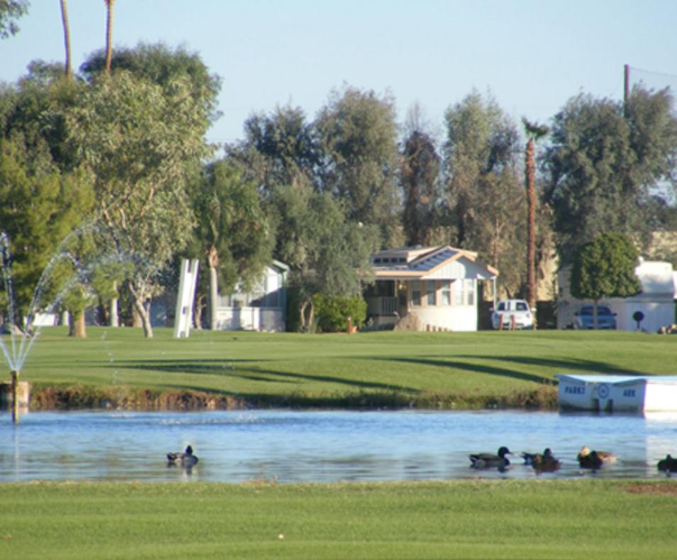 Desert Trails Rv Park And Golf Course
