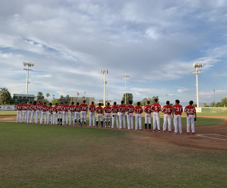 Palm Springs Power Baseball