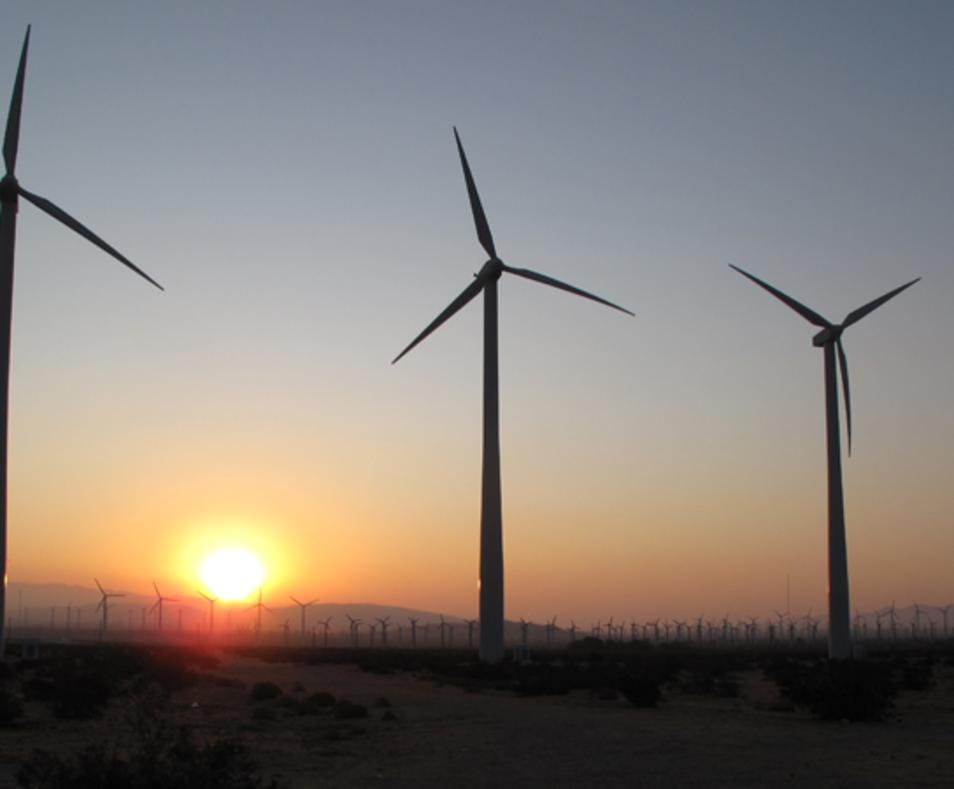 Palm Springs Windmill Tours
