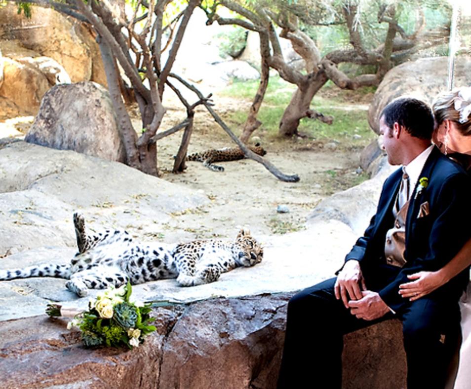 The Living Desert
