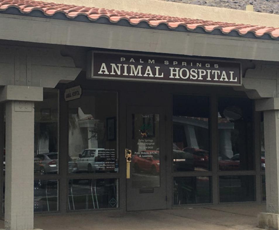 Palm Springs Animal Hospital