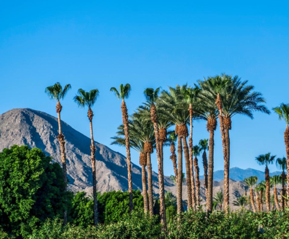 Let S Roam Palm Springs Palm Springs Walking Tour Palm Springs