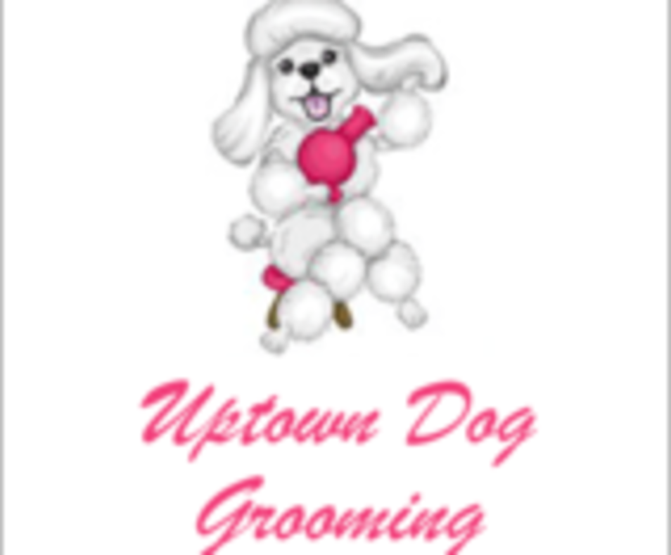 Uptown Dog Grooming