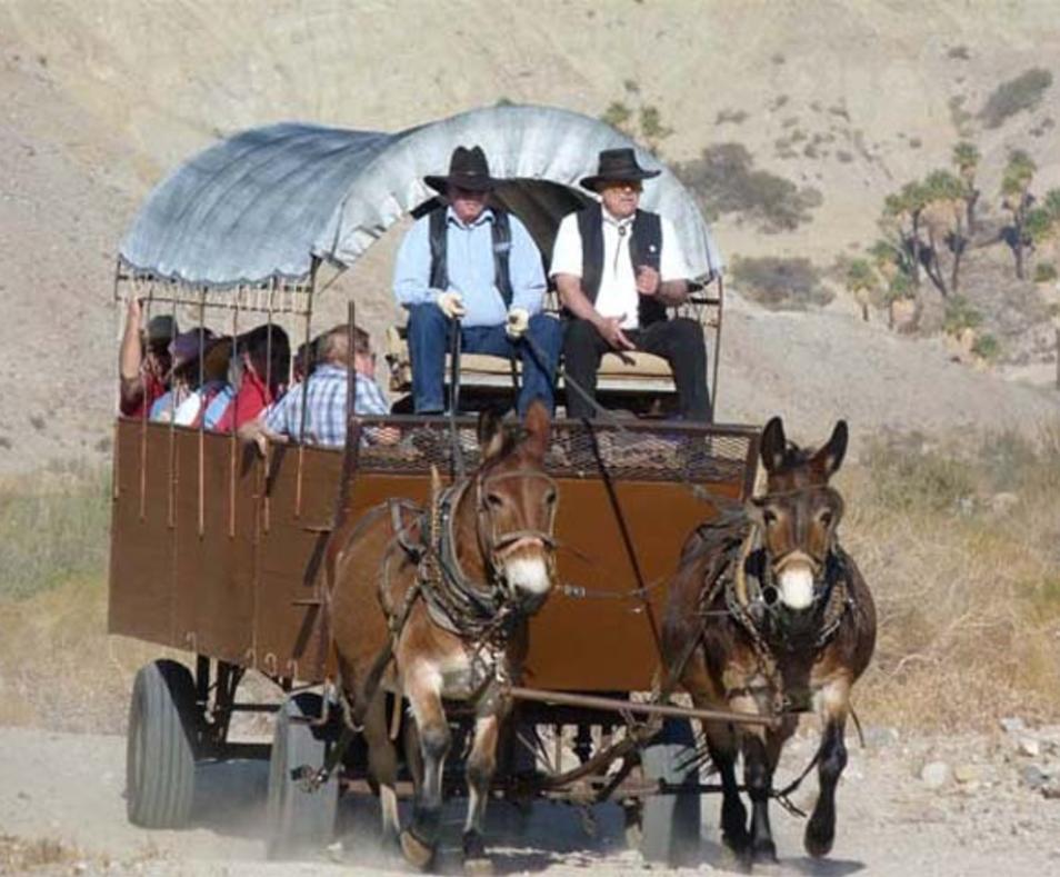covered wagon travel in a day