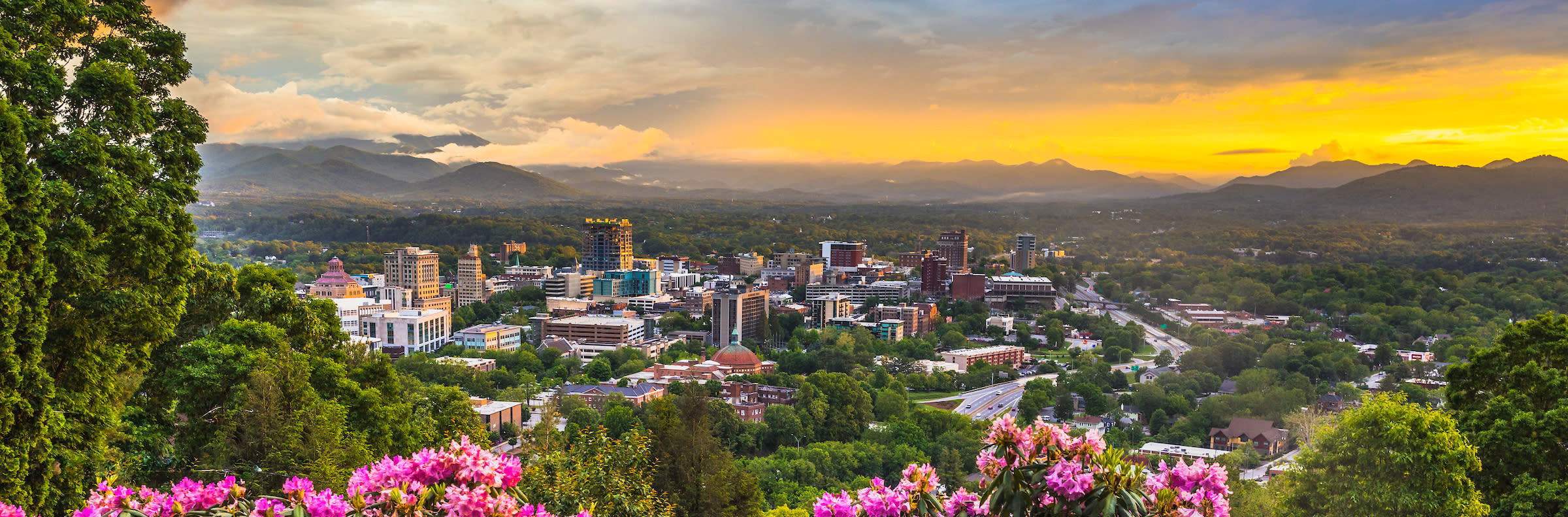 skyline for ceo summit header