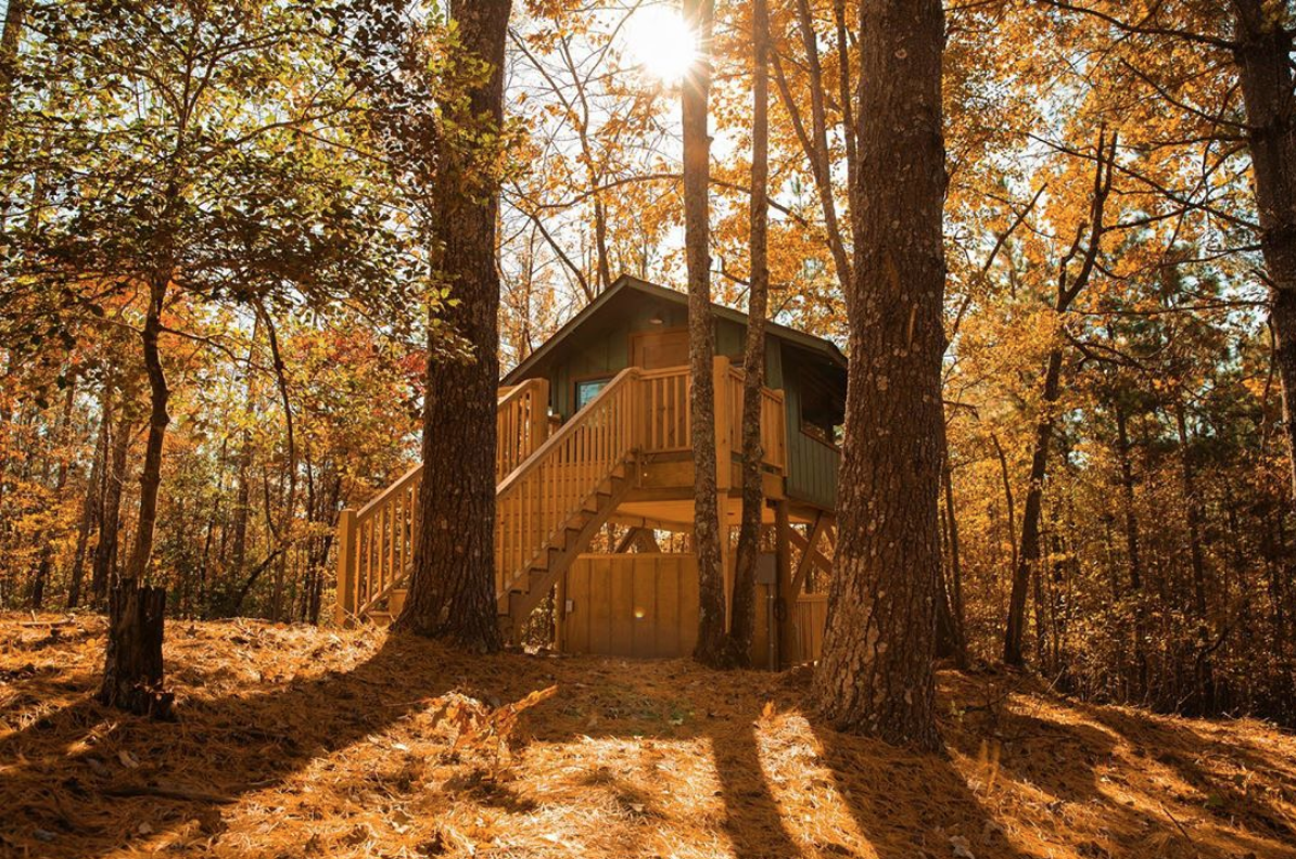 north-carolina-cabins