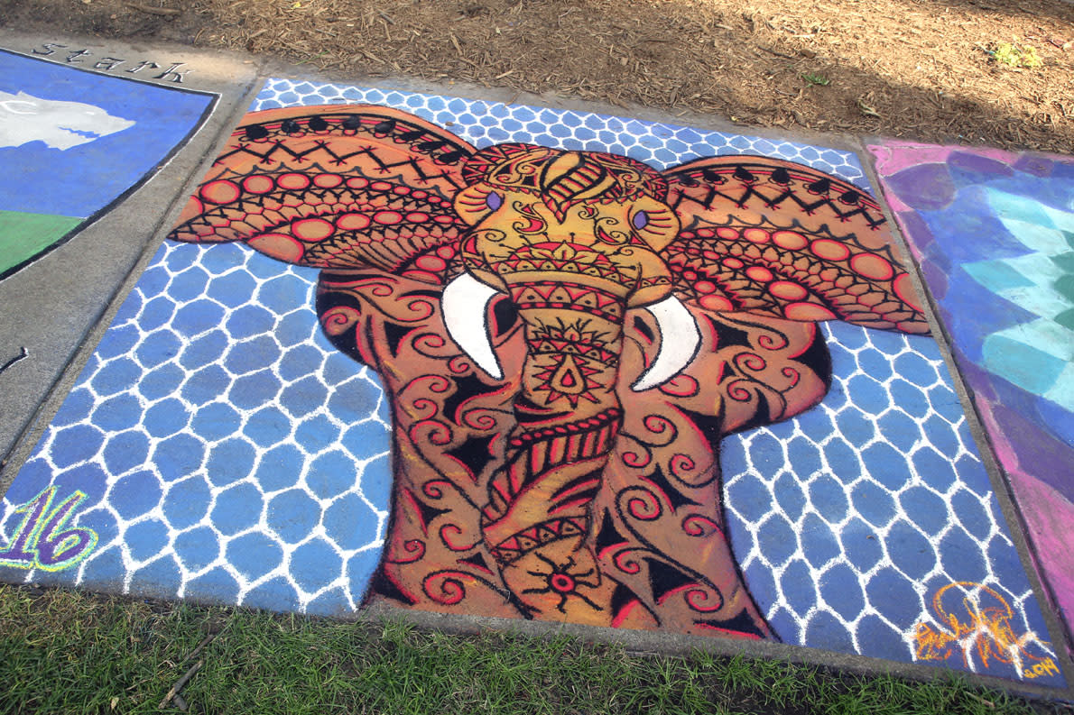 Chalkfest 2014 At Wilson Park - Photo by: Andrea Paulseth of V1