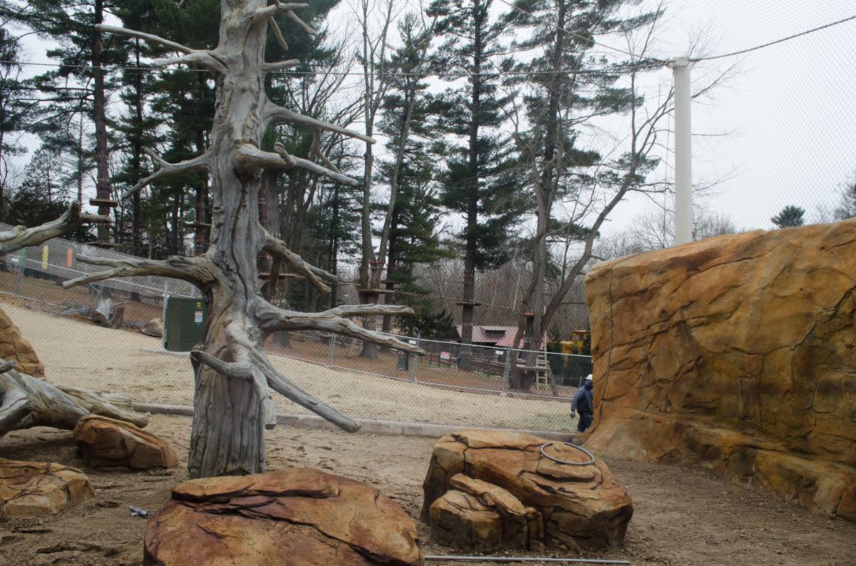 The Elmwood Park Zoo jaguar exhibit shares a connection to Disney's Animal Kingdom