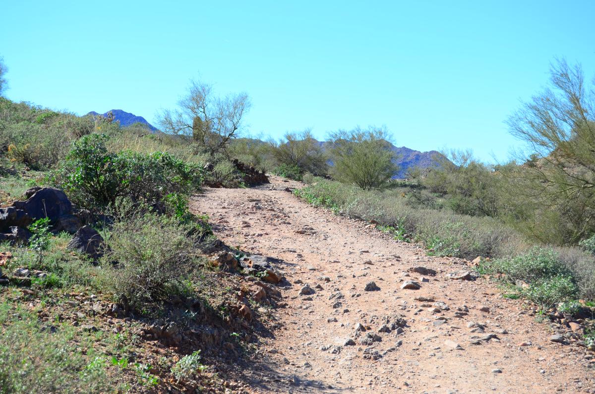 Maricopa Trail San Tan Mountain Regional Park