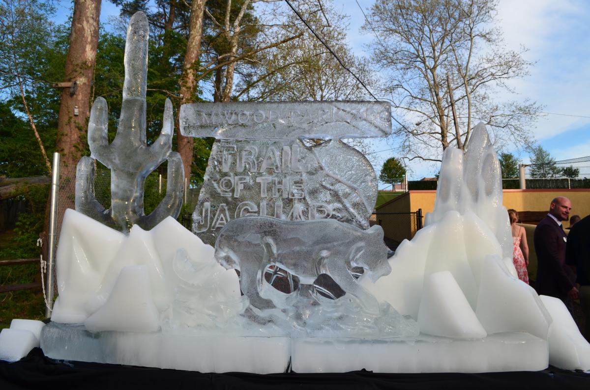 Elmwood Park Zoo Trail of the Jaguar Ice Sculpture