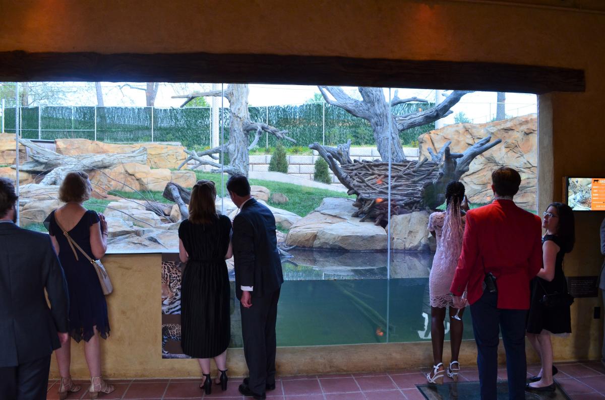 Elmwood Park Zoo Jaguar Exhibit