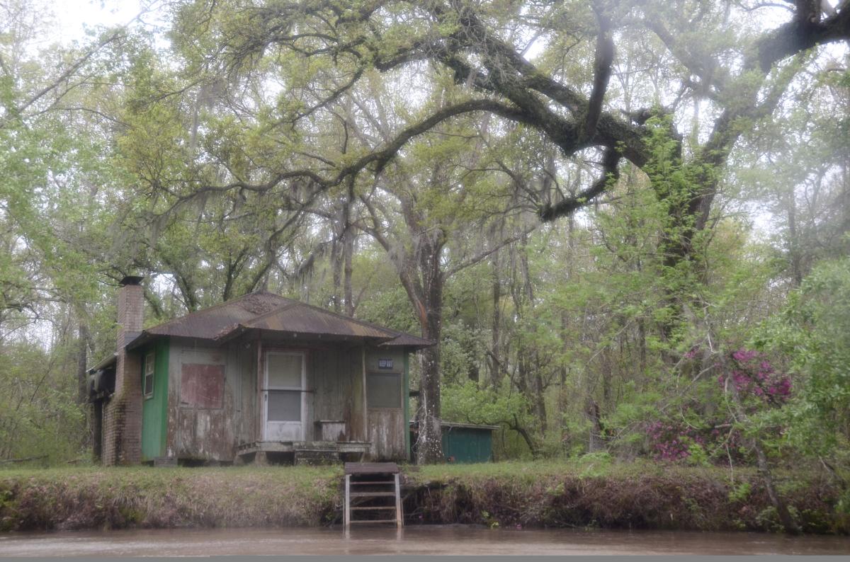 Bayou Vermilion Excursion: Camp Along The Banks