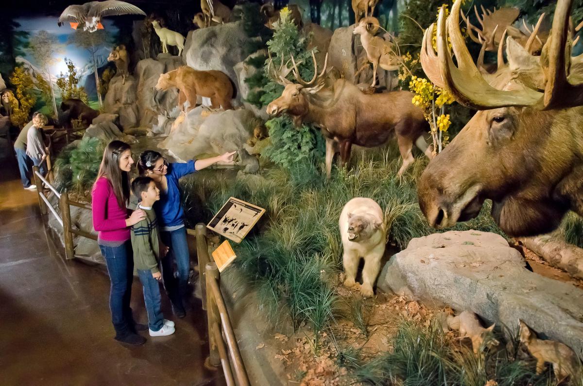 Rolling Hills Wildlife Adventure
