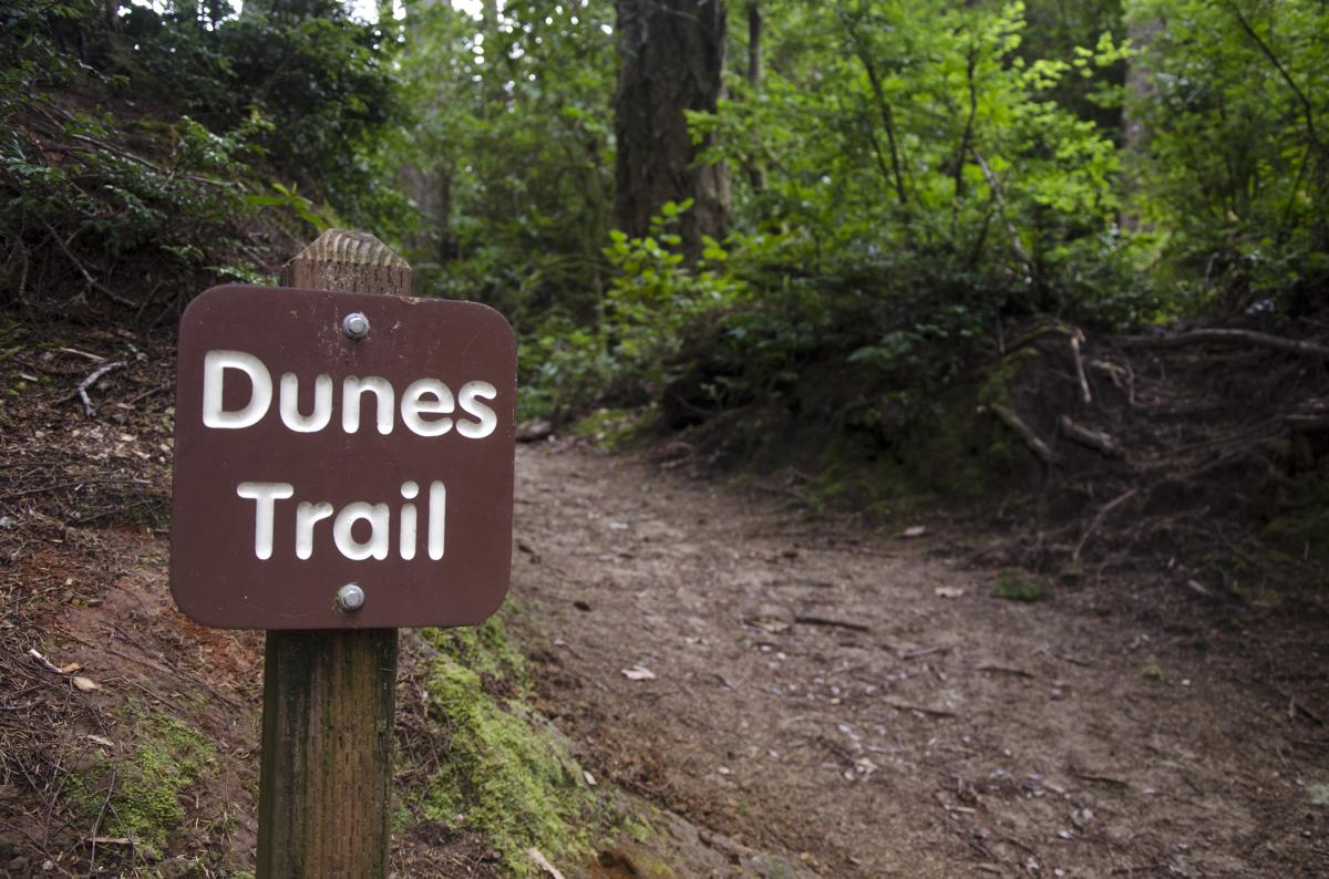 Dunes Trail by Katie McGuigan