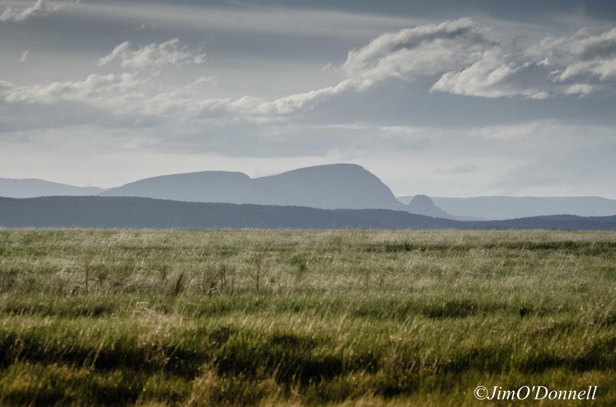 Mills Canyon/Kiowa National Grasslands