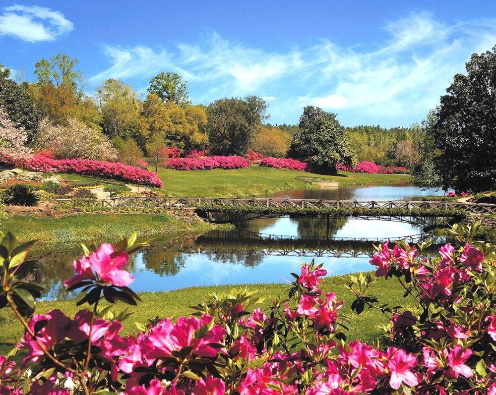 Flowers and trees with a bridge crossing a body of water at bellingrath gardens in Mobile, AL