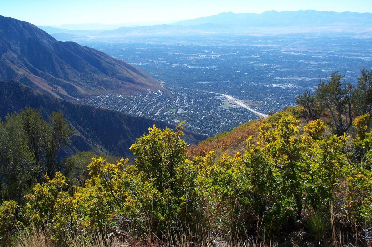 Salt Lake City Weekend Guide: Hiking, Wildlife, and Mile-High