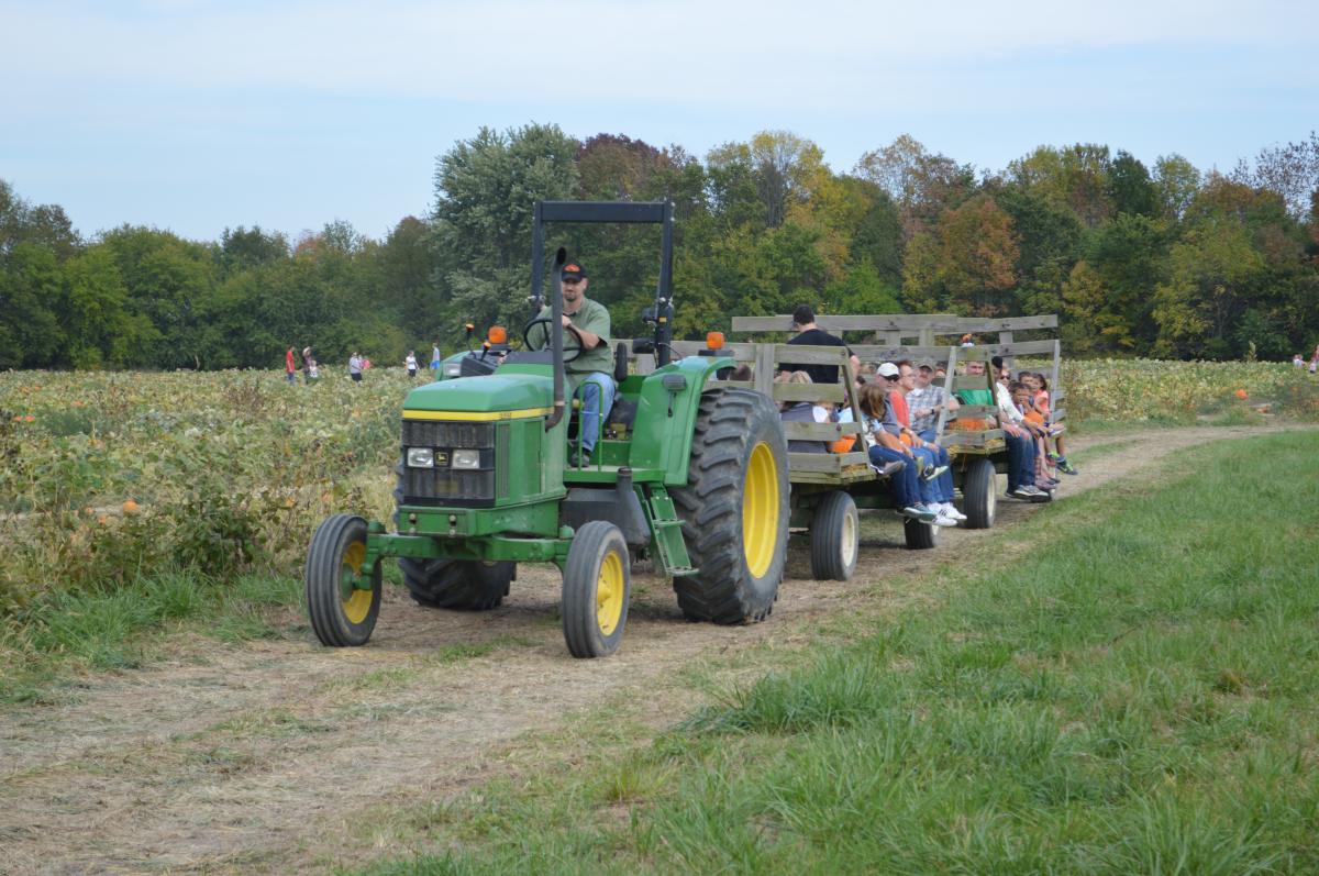 Beasley's hayride to pumpkin patch