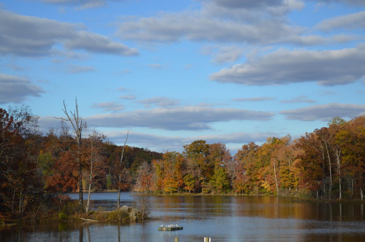 View of the Occoquan River in Lake Ridge Park during the Fall season