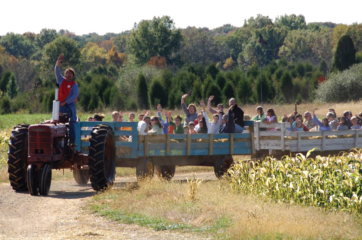 Cox Farms Fall Festival