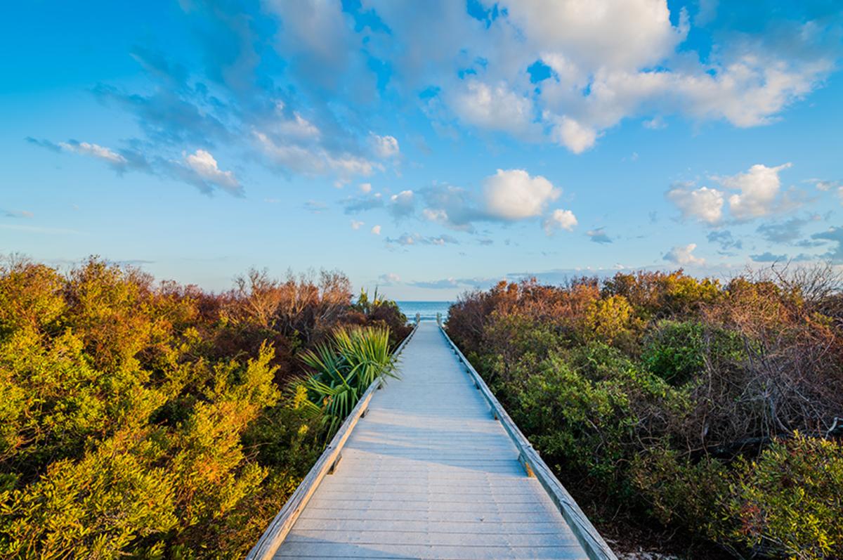 Glory Beach Boardwalk in Golden Isles, GA