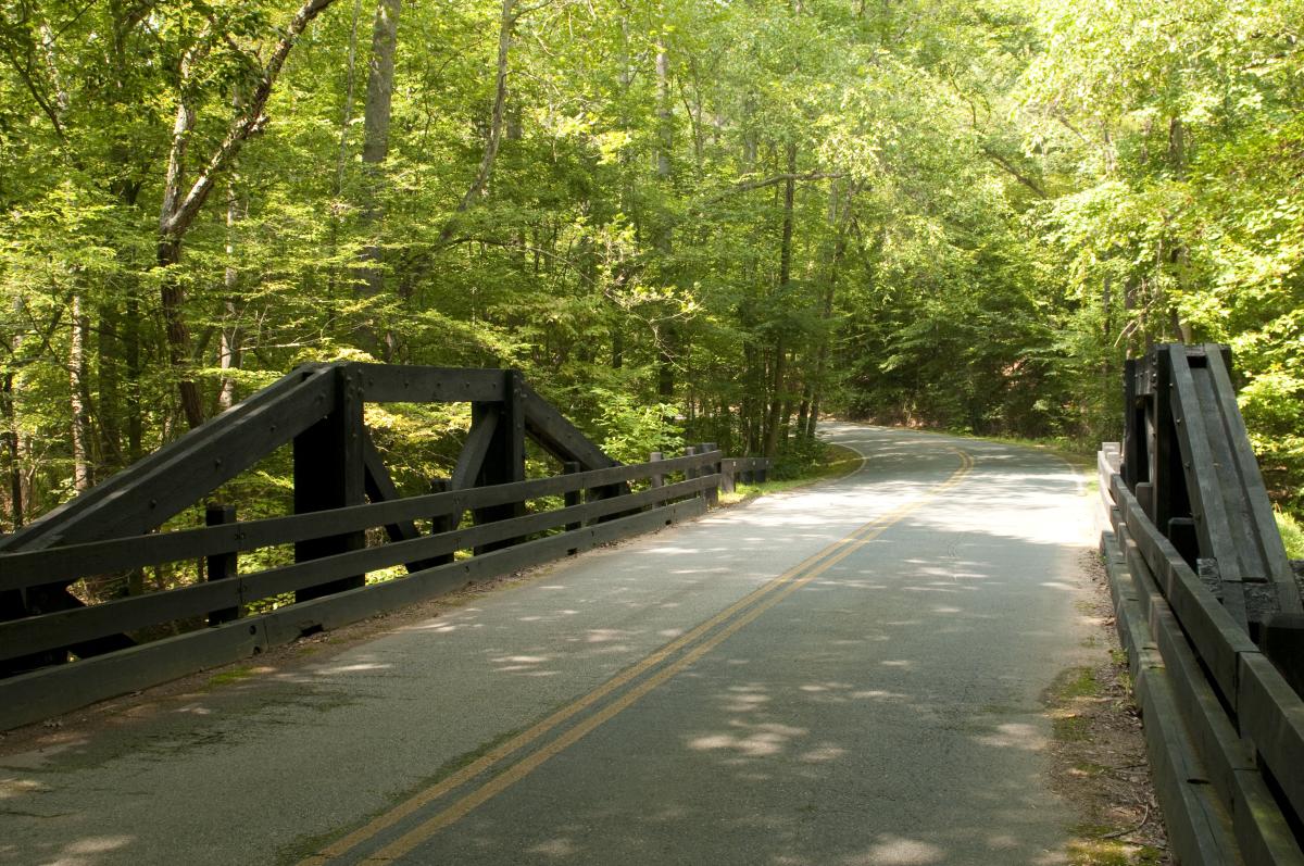 bridge along Scenic Drive in Prince William Forest Park