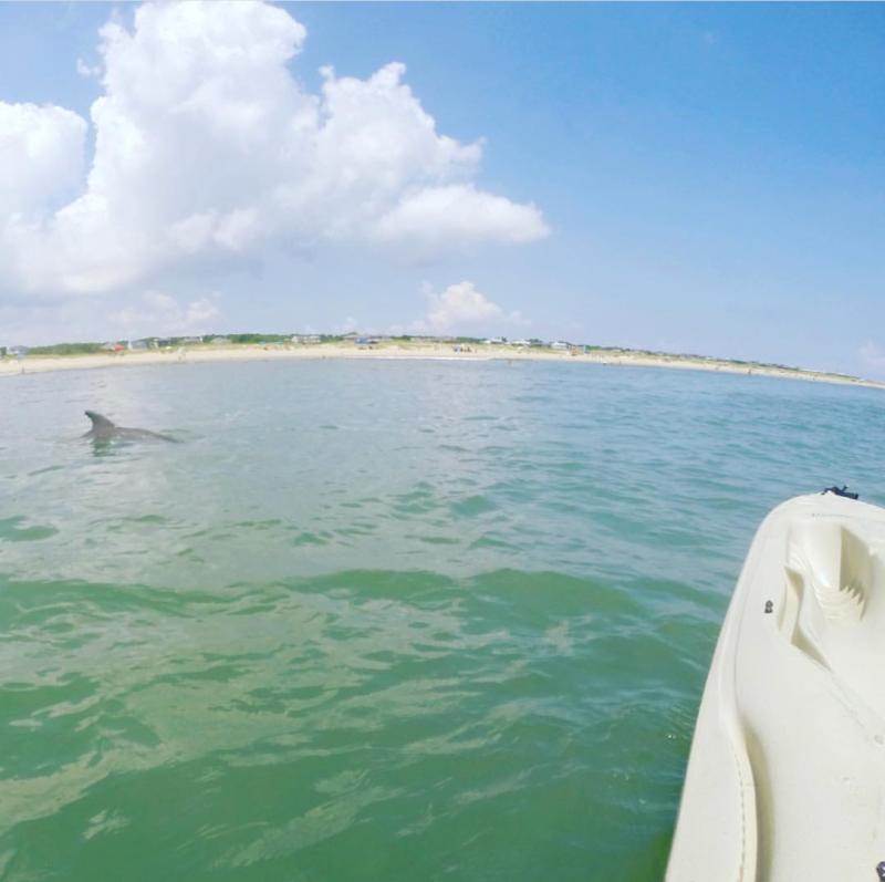 A person kayaking in the Atlantic Ocean next to a dolphin