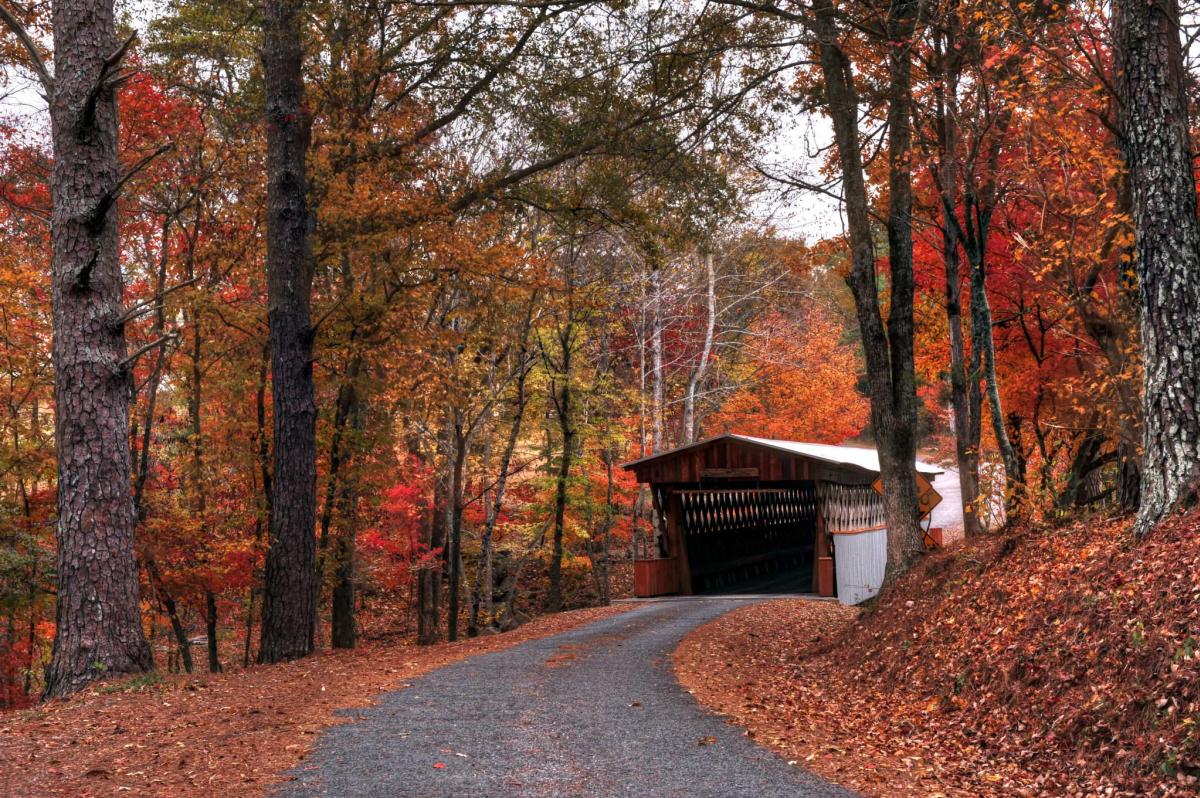 Fall colors surrounded the one-lane that crosses through Easley Covered Bridge in Oneonta, Alabama
