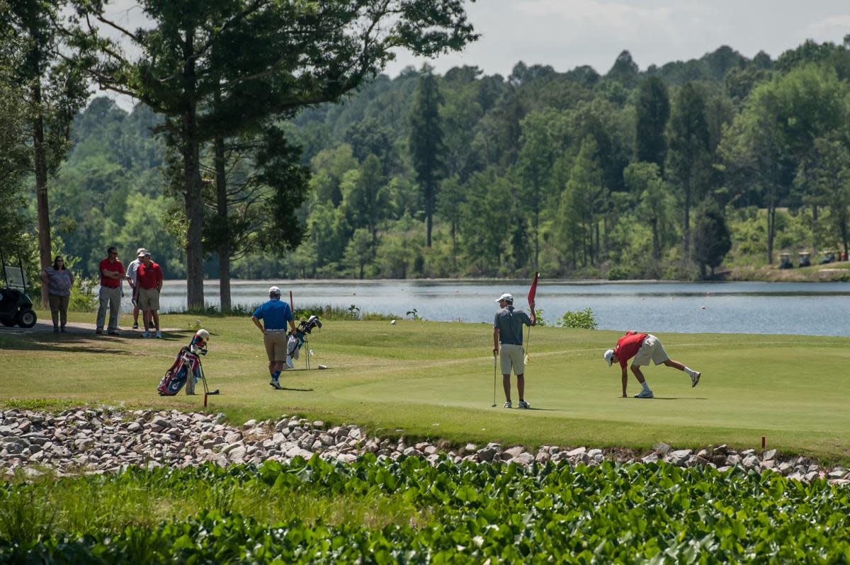 People golfing