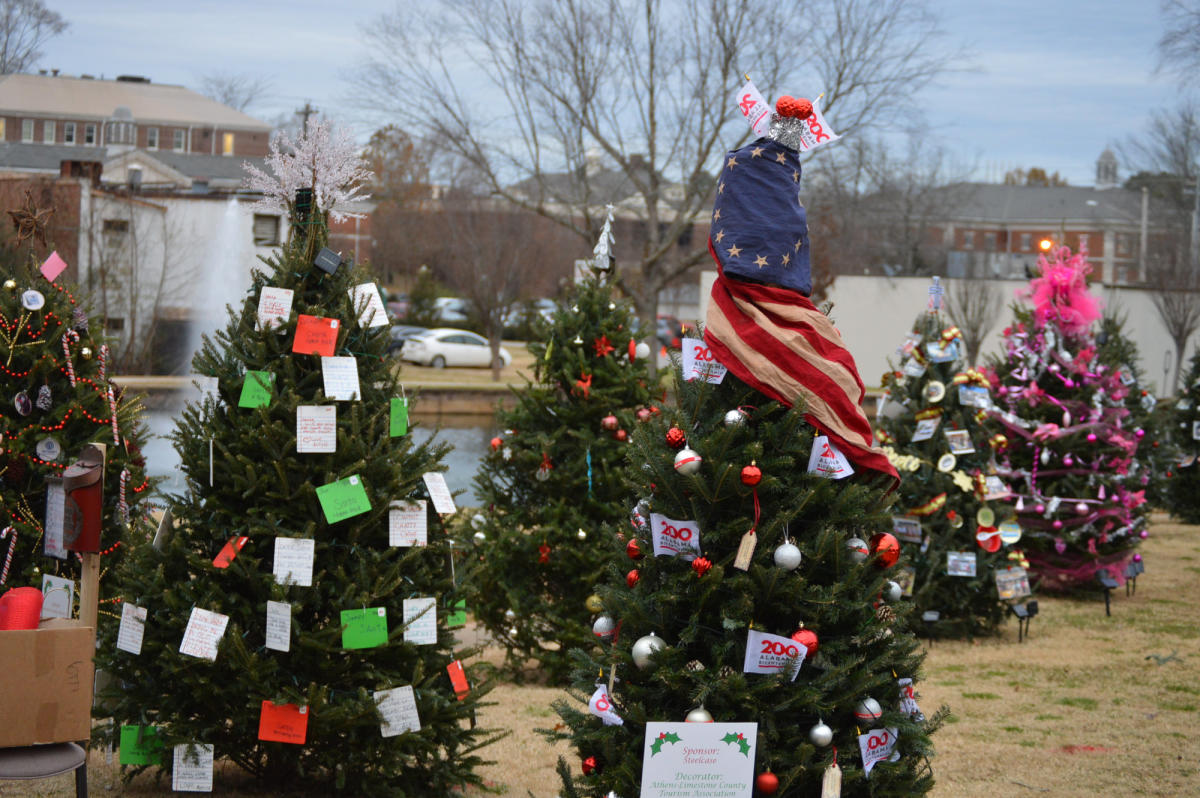 A row of six Christmas trees set up along a street during the North Pole Stroll