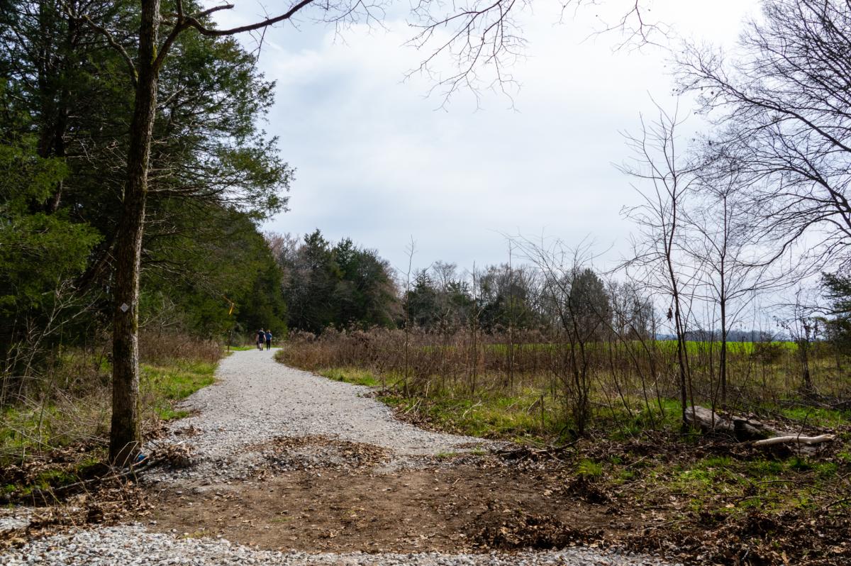 Trail at Bethel Spring Nature Preserve