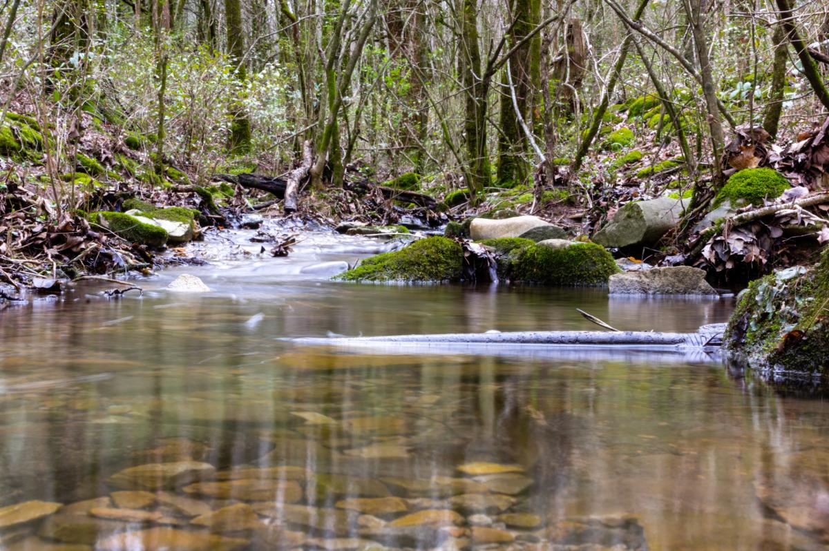 Chapman Mountain Preserve