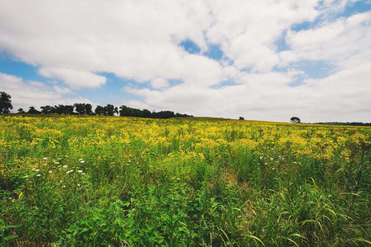 3000-Acres-of-Discovery---Shaker-Village-medium