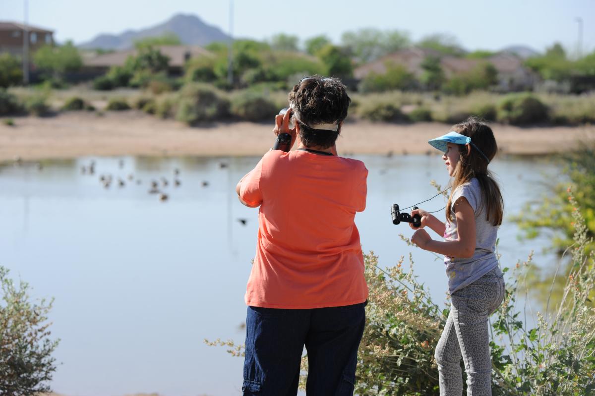 Birding at Veterans Oasis Park