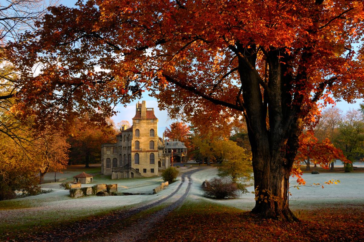 Fonthill Castle in Doylestown includes interior walls, floors and ceilings elaborately adorned with an array of original handcrafted tiles.